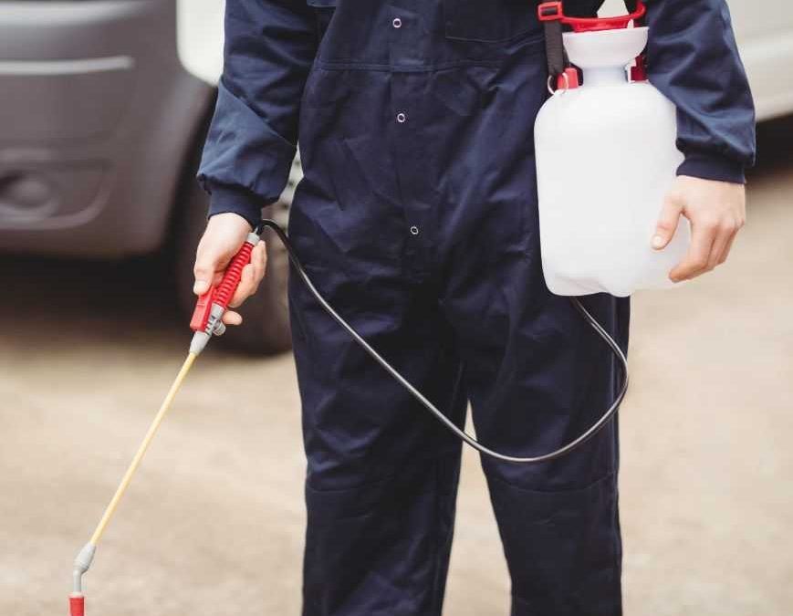 4 Important Signs Your Construction Site Needs Pest Control